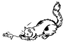 La phobique des souris&nbsp;!