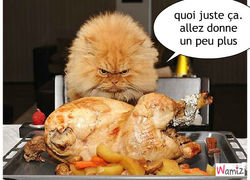 Fricassée et copropriété&nbsp;!