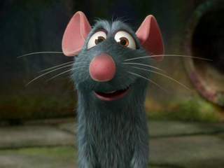 Le rat du 16ème&nbsp;!