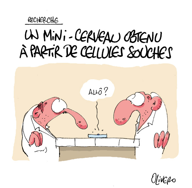 Quand Petit Syndic est scientifique&nbsp;!