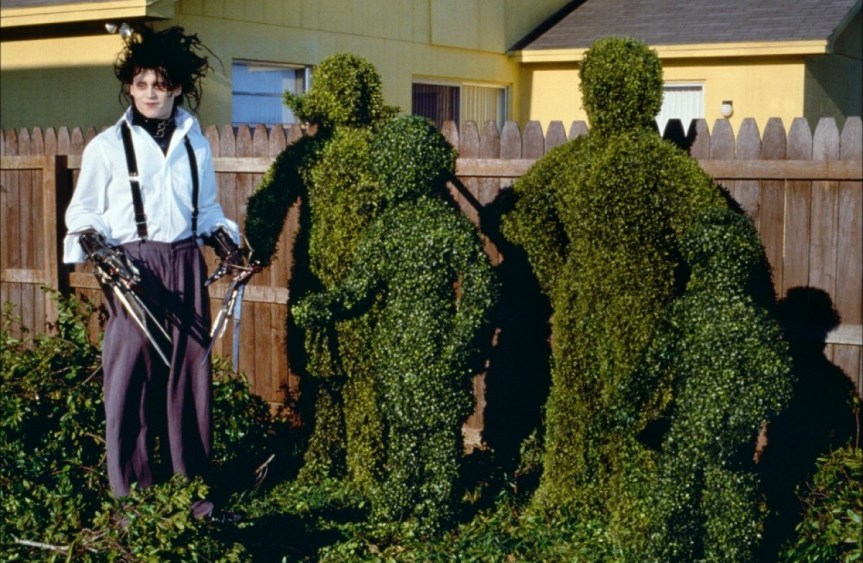 Coronavirus et espaces verts&nbsp;!